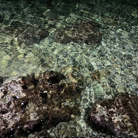 Afissos-Dream 3Studios מראה חיצוני תמונה